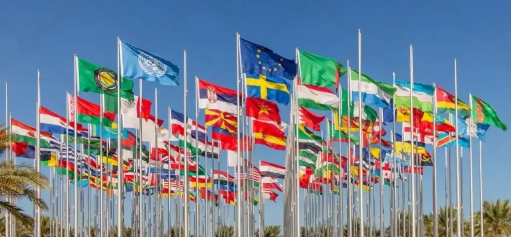 Teams & Countries Banner Image